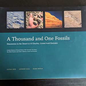 A Thousand and One Fossils