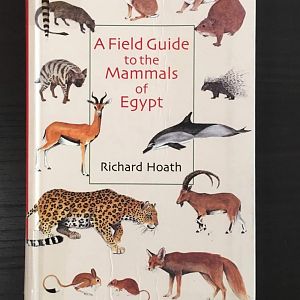 A Field Guide to the Mammals of Egypt