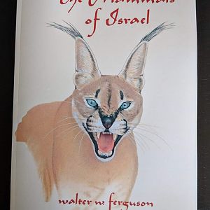 The Mammals of Israel