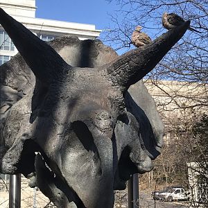 Dinosaurs on a Dinosaur