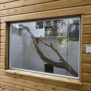 Margay indoor enclosure