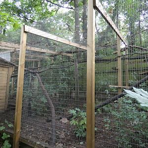 Margay outdoor enclosure