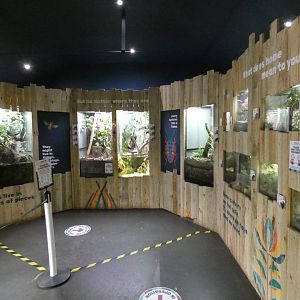 Bugs at Home exhibit