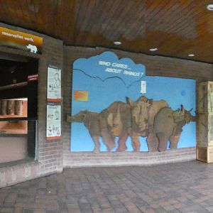 Panorama of Rhino house