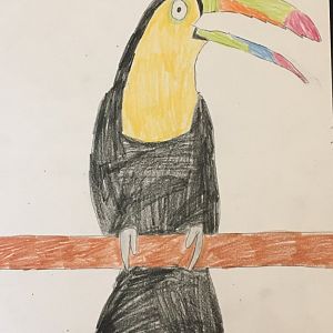 Keel-Billed Toucan