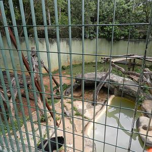 Spectacled (andean) bear exhibit - Zoo São Paulo