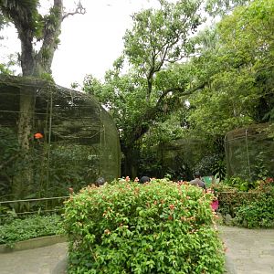 Tropical birds complex - Zoo São Paulo