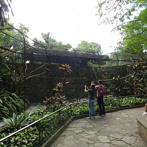 Main macaw aviary - Zoo São Paulo