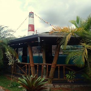 South American fur seal exhibits - São Paulo Aquarium
