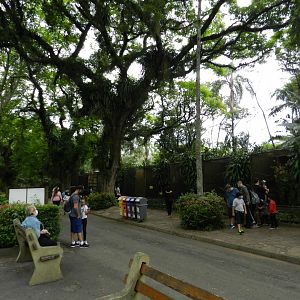 Main bird square - Zoo São Paulo