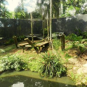 Jaguar exhibit - Zoo São Paulo
