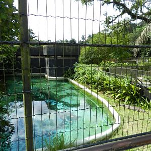 Former gharial exhibit - Zoo São Paulo