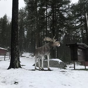 Lycksele entrance area