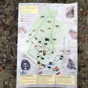 Lycksele map - winter version