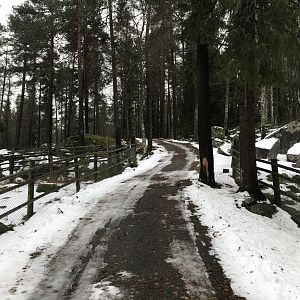 Path between sheep and goats