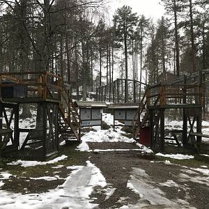 Keeper platforms for red fox and lynx