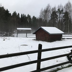 Seasonal domestic paddock