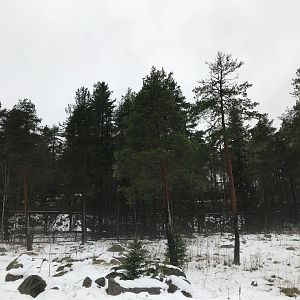 Wolverine enclosures from distance