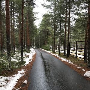 Path by elk enclosures