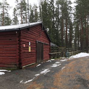 Second musk ox paddock