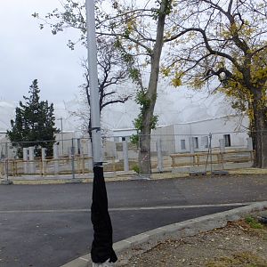 Future Indian rhino enclosure (Pannonia Park)