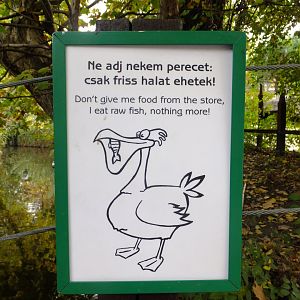 Please don't give me food from store!