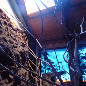 Australian Twilight 3.