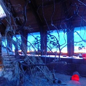 Australian Twilight 2.