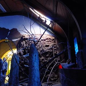 Australian Twilight 1.