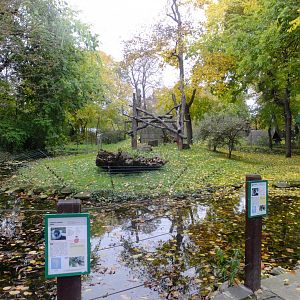 B+W Ruffed lemur island
