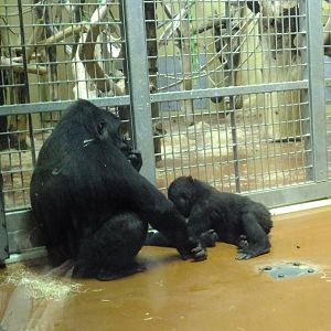 Indigo with her mum, Iringa