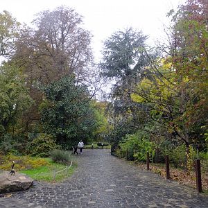 A part of the park