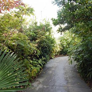 Islands - Aviary 071020