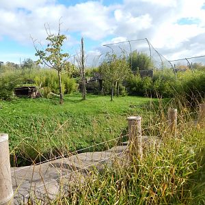 Islands - Sumatran tiger enclosure 071020