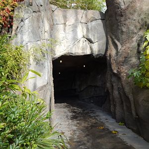 Islands - Tunnel to tiger viewing area 071020