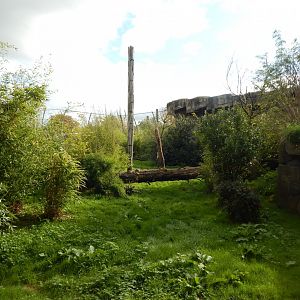 Islands - Sumatran tiger enclosure 071020