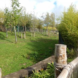 Islands - Malayan tapir enclosure 071020