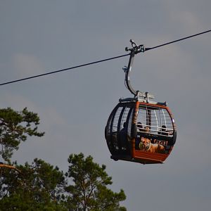 Safari cable car at Kolmården