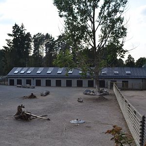 The savannah stable at Kolmården