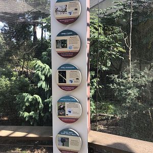 CMZ African Aviary Signage