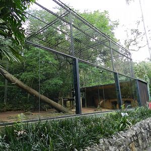 Cougar exhibit - Zoo São Paulo