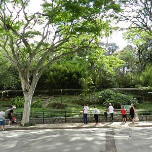 Maned wolf exhibit - Zoo São Paulo