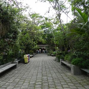 Main avenue - Zoo São Paulo