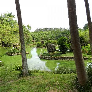 View of the main lake - Zoo São Paulo