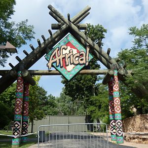 Africa Entrance