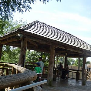 Giraffe Feeding Station