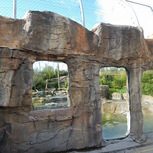 Islands - Sumatran tiger enclosure viewing window 071020