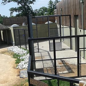 Giraffe Holding Yards