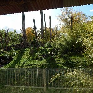 Islands - Sun bear enclosure 071020