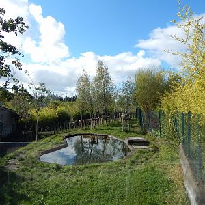 Islands - Malayan tapir enclosure 071020